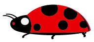 ladybugsiide2-01